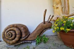 20230724_091130_resize