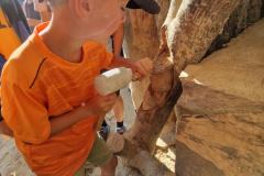 20230724_091529_resize