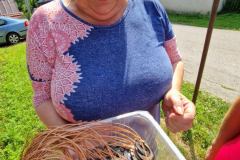 20230724_101000_resize