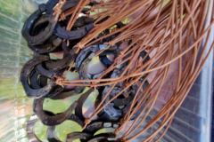 20230724_101004_resize