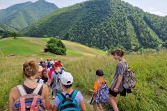 20230724_115800_resize