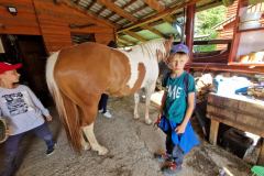 20230725_083800_resize