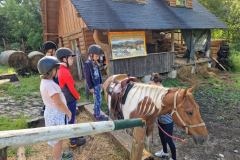 20230725_084524_resize