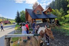 20230725_084528_resize