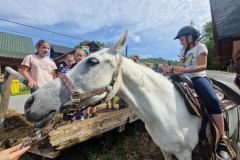 20230725_094628_resize