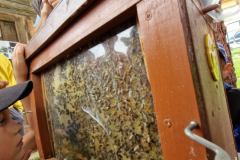 20230725_141400_resize