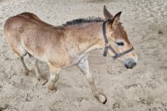 20230726_102857_resize