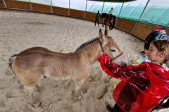 20230726_103235_resize