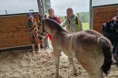 20230726_103750_resize