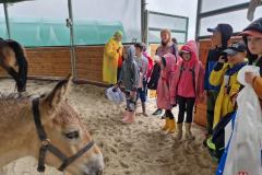 20230726_104305_resize