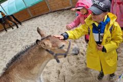 20230726_104310_resize