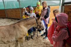 20230726_104926_resize