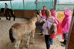 20230726_110510_resize