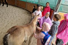 20230726_110652_resize