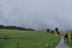 20230726_111658_resize