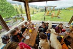 20230726_113231_resize