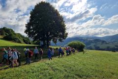 20230727_083145_1_resize