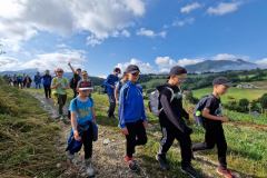 20230727_084533_resize