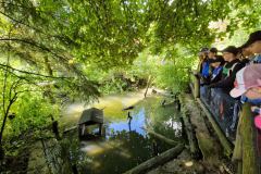 20230727_100120_resize