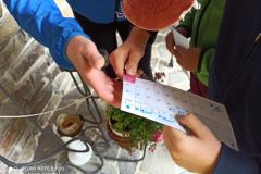 IMG_20230728_112322_resize