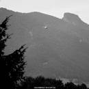 IMG_1153
