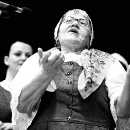IMG_8503