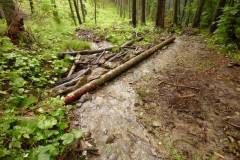 Program revitalizácie krajiny a integrovaného manažmentu povodí SR 2011