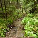 P1010455_resize_resize