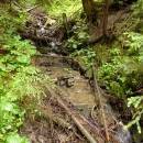 P1010456_resize_resize