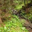 P1010457_resize_resize