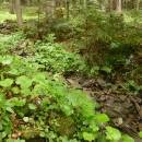 P1010458_resize_resize