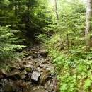 P1010459_resize_resize