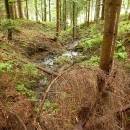 P1010489_resize_resize