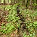 P1010490_resize_resize