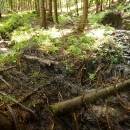 P1010525_resize_resize