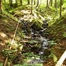 P1010528_resize_resize