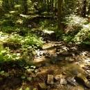 P1010529_resize_resize