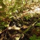 P1010530_resize_resize