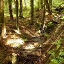 P1010531_resize_resize