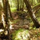 P1010532_resize_resize