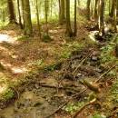 P1010533_resize_resize