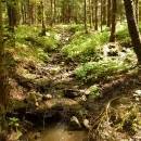 P1010535_resize_resize