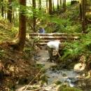 P1010540_resize_resize