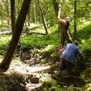 P1010572_resize_resize