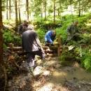 P1010578_resize_resize