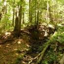 P1010585_resize_resize