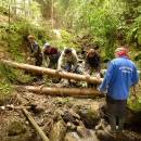 P1010665_resize_resize