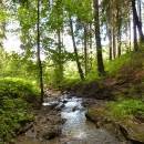 P1010691_resize_resize