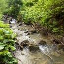 P1010692_resize_resize