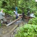 P1010694_resize_resize